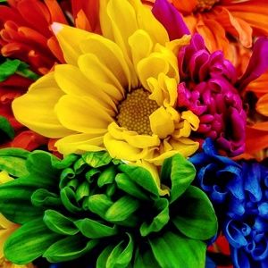 Meet your Posher, Adran