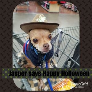 Meet your Posher, Vanessa