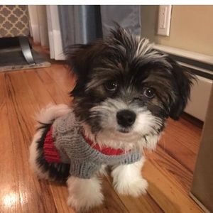 Meet your Posher, Carrie