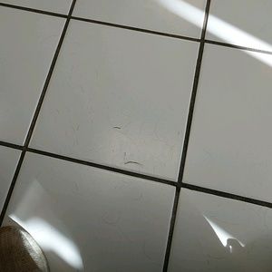 Meet your Posher, Ivan