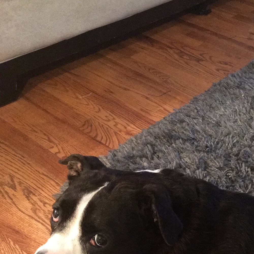 Meet your Posher, Arleen