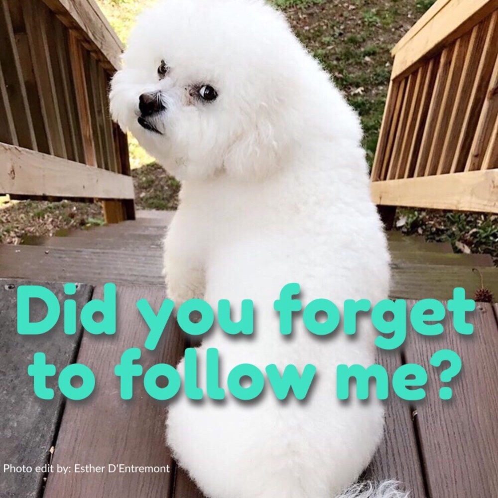 Thanks 🙏 for the Follow!