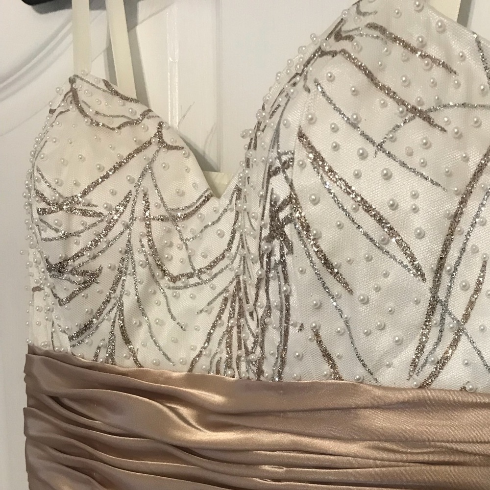 Banquet/Formal/Prom Dress