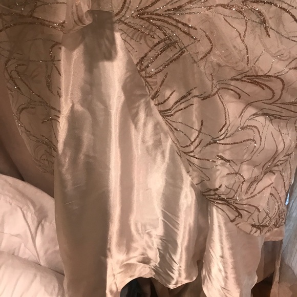 Banquet/Formal/Prom Dress - Picture 4 of 4