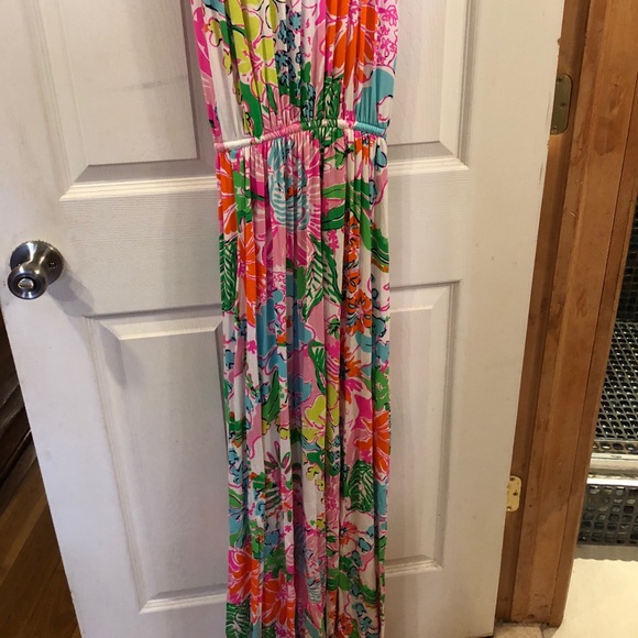 Lilly Pulitzer Maxi Dress - Picture 4 of 4