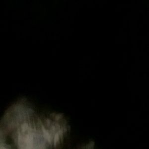 Meet your Posher, Magaly