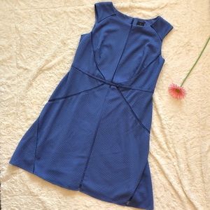 Adrianna Papell Fit and Flare Dress