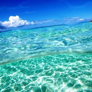 Meet your Posher, Mahnaz