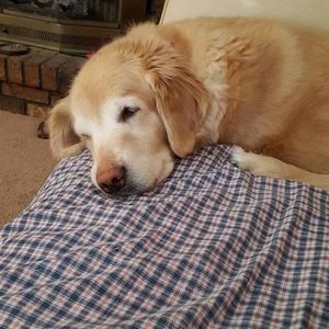 Meet your Posher, Sally