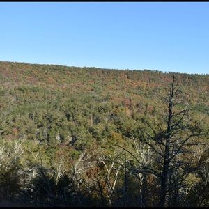 Meet your Posher, Tisha