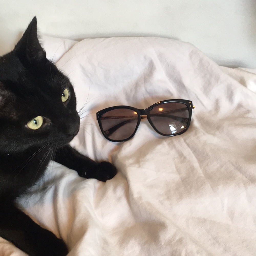 Like new coach sunglasses 🕶