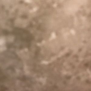 Meet your Posher, Wilson