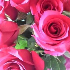 Meet your Posher, Jocelyn