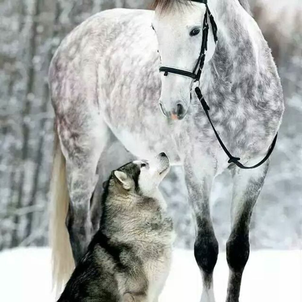 Meet your Posher, Shannon