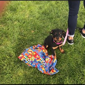 Meet your Posher, Jayne