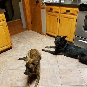 Meet your Posher, Lynda