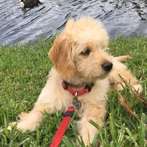 Meet your Posher, Bryan