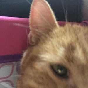 Meet your Posher, Jill