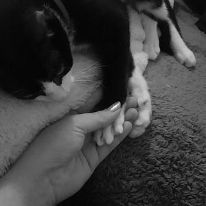 Meet your Posher, Haley