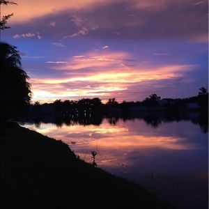 Meet your Posher, Iris