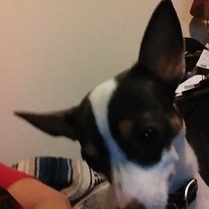 Meet your Posher, Deb