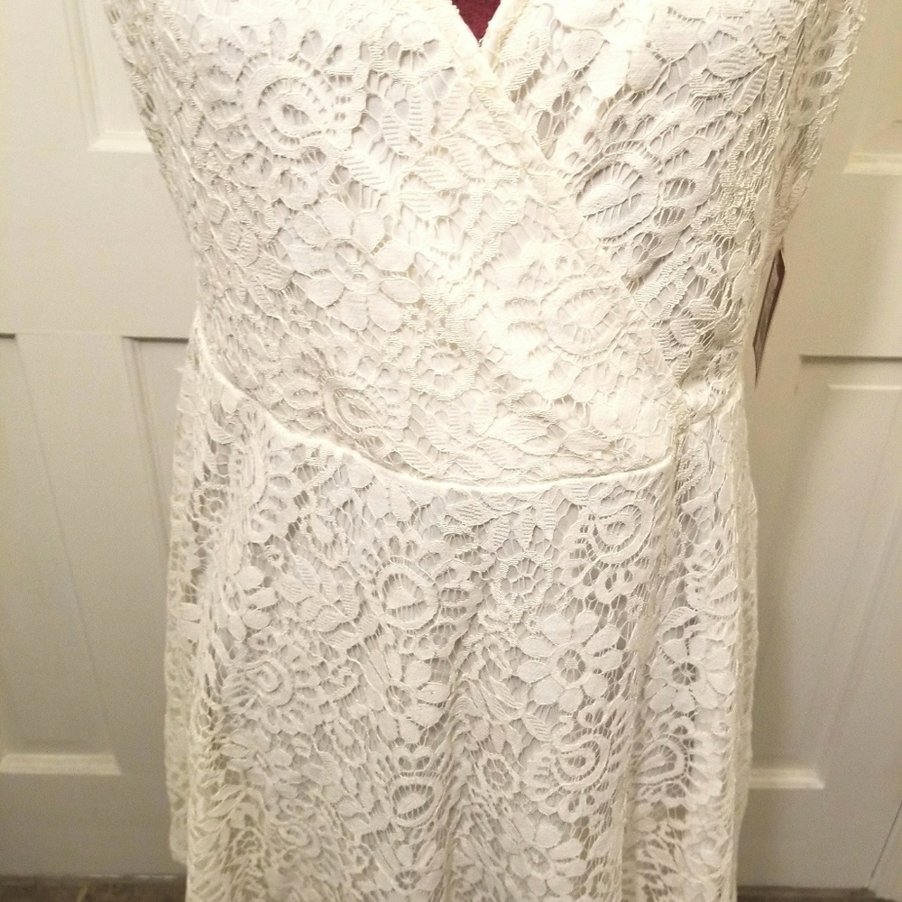 MOSSIMO Lace Skater Dress - Picture 4 of 5