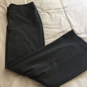 Express columnist dress pant