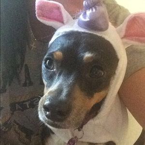 Meet your Posher, Ashleigh