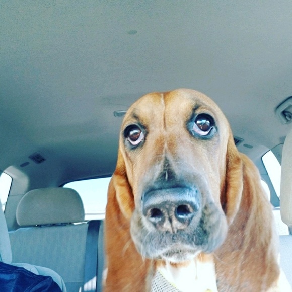 Meet your Posher, Fernando - Picture 1 of 1