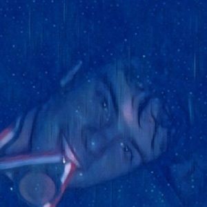 Meet your Posher, Max