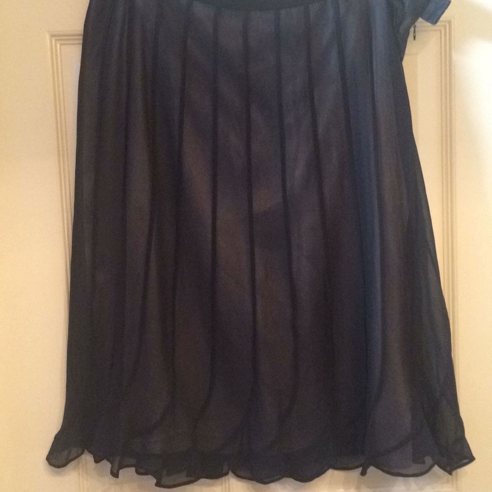 Ann Taylor chiffon and silk skirt