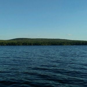 Meet your Posher, Polly