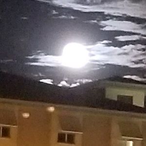 Meet your Posher, Frank