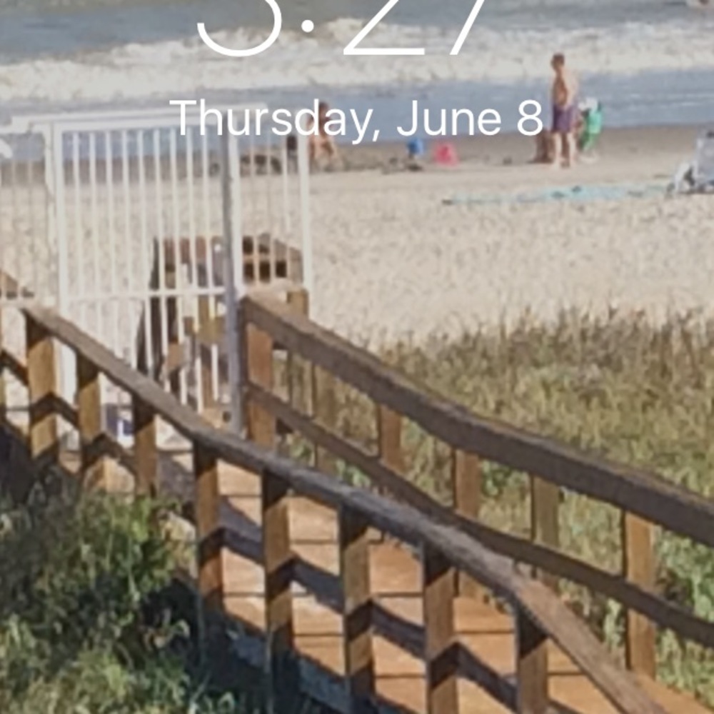 Meet your Posher, Mary