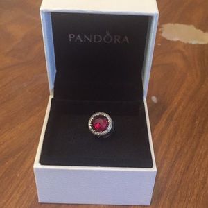 Pandora charm
