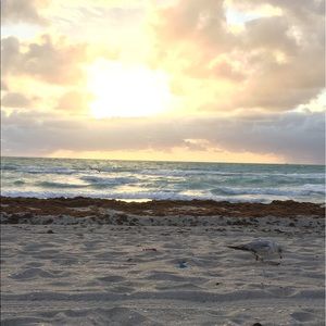 Meet your Posher, Peyton