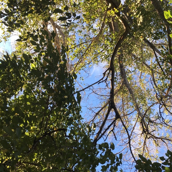 Meet your Posher, Laiza - Picture 1 of 1