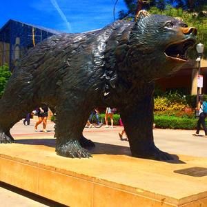 Meet your Posher, Jae