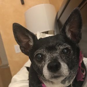 Meet your Posher, Ana