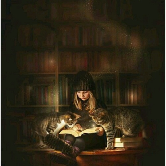 Meet your Posher, Petya - Picture 1 of 1