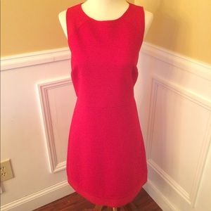 The Limited shift dress in light red.