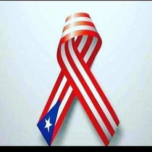 Meet your Posher, Melvin