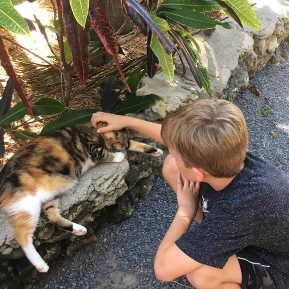 Meet your Posher, Shannon - Picture 2 of 4