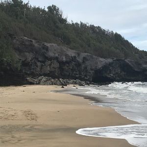 Meet your Posher, Jaclyn