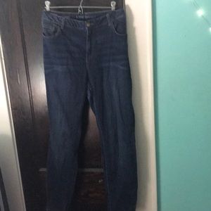 Lane Bryant Super-Stretch Skinny Jeans