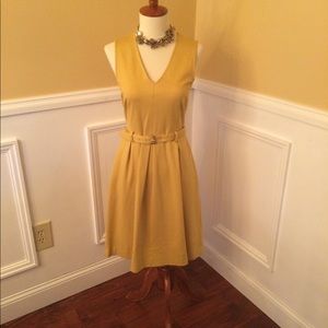 Banana Republic fit and flare dress in 2P.