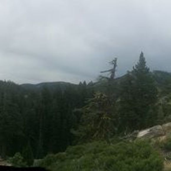 Meet your Posher, Josh - Picture 1 of 1