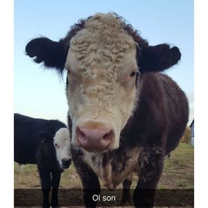 Meet your Posher, Tanner