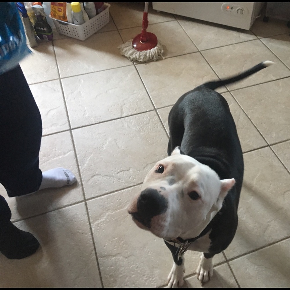 Meet your Posher, Casino