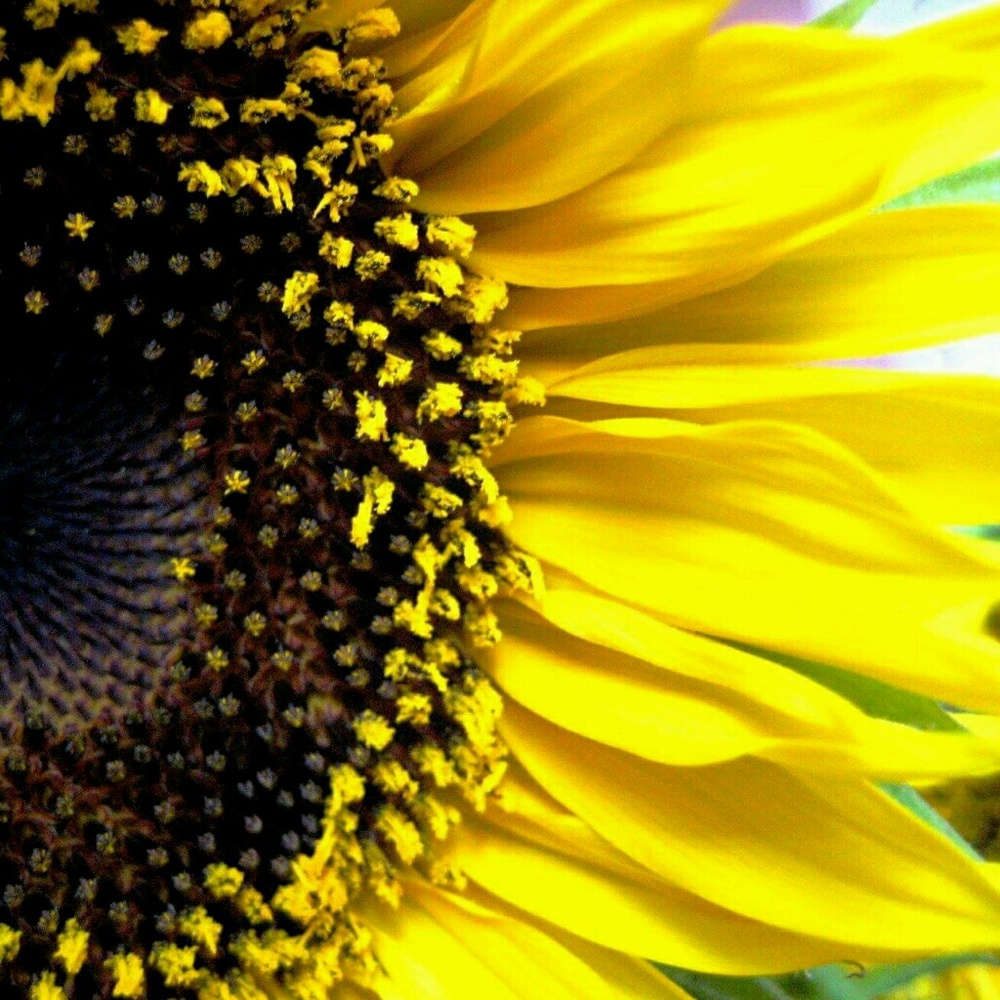 Meet your Posher, Maria e